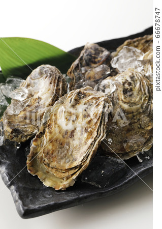 Assorted raw oysters (from Akkeshi, Hokkaido) Assorted raw oysters (from Akkeshi, Hokkaido) 66678747