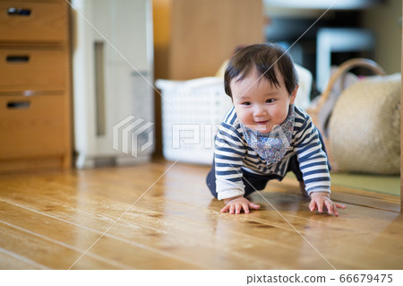 8 month old baby 8 month old baby 66679475