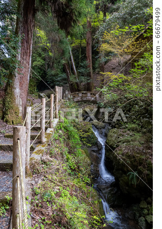 新鮮的綠色森林小徑，溪流，兵庫橋，日本 66679499