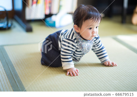 8 month old baby 66679515