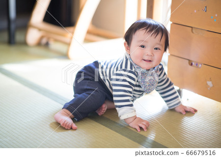 8 month old baby 8 month old baby 66679516