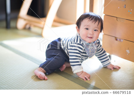 8 month old baby 66679518