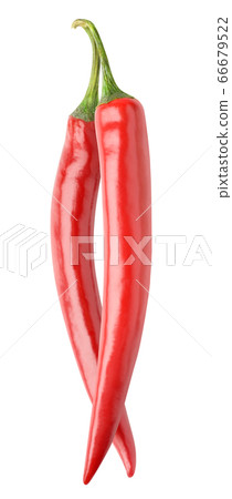 Two hot red chili peppers 66679522