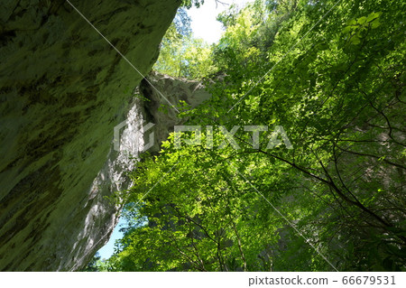 《Okayama Prefecture》 Scenery of Rashomon No.1 Cave during the fresh green season 66679531
