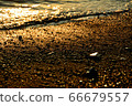 Pebbles shining on the beach at dusk 66679557