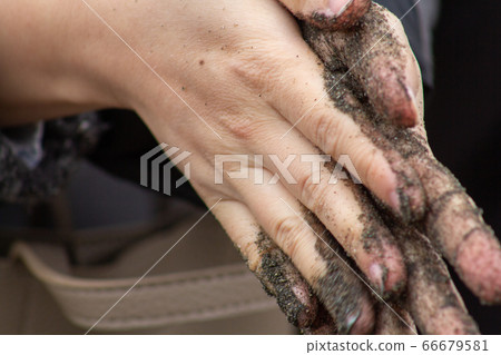 Hand full of sand Hand full of sand 66679581