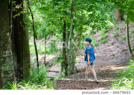 Girls playing in the forest Girls playing in the forest 66679691