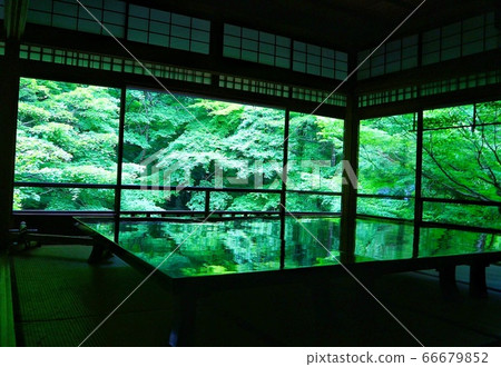 Kyoto Rurikoin 66679852