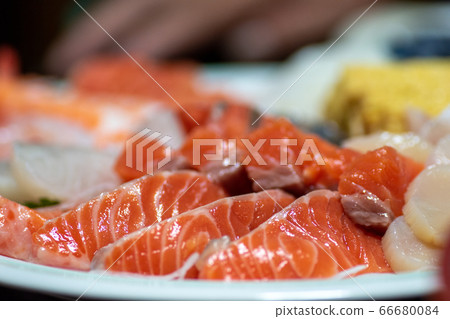 三文魚生魚片 三文魚生魚片 66680084