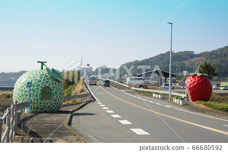 水果巴士站 66680592