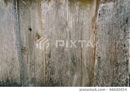 Abstract wooden background. Texture of an old tree Abstract wooden background. Texture of an old tree 66680854