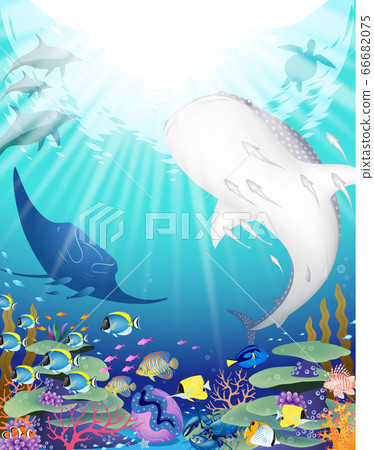 波光粼粼的藍色海洋和生活在那裡的野生動物 66682075