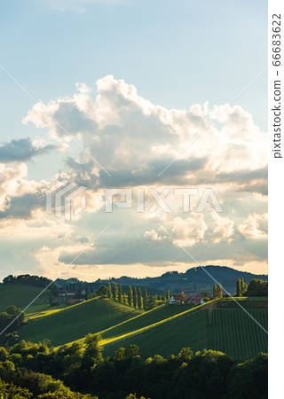 Beautiful landscape of Austrian vineyards in south Styria. Famous Tuscany like place to visit. Beautiful landscape of Austrian vineyards in south Styria. Famous Tuscany like place to visit. 66683622