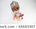 可愛的干花和房子 66683907