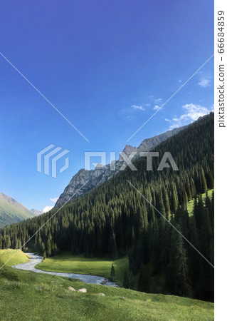 Mountain landscape with a stormy river, stones and fir trees. Mountain landscape with a stormy river, stones and fir trees. 66684859