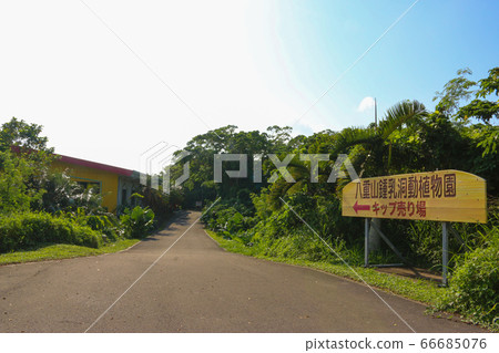 石垣島八重山石灰岩洞穴植物園 66685076