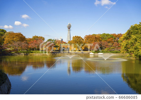 天王寺公園川子池 天王寺公園川子池 66686085