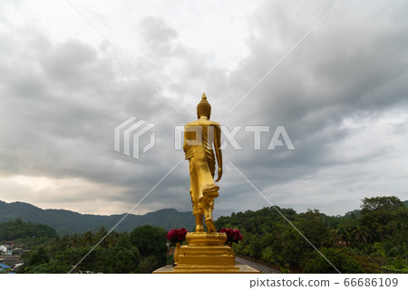 Back view of golden great buddha statue with cloud 66686109