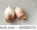 Two Ibuki daikon 66686555
