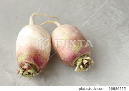 Two Ibuki daikon 66686555
