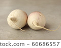 Two Ibuki daikon 66686557