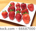 Many types of lined strawberries 66687000