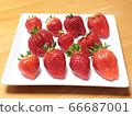 Many types of lined strawberries 66687001