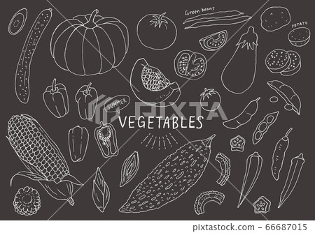 Summer vegetables hand drawn illustration set (black background) Summer vegetables hand drawn illustration set (black background) 66687015