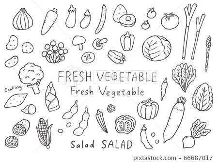 Hand-drawn illustrations of various vegetables 66687017