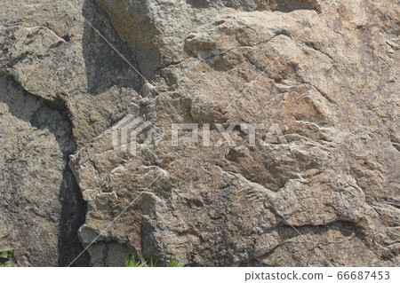 Rough rough skin 66687453