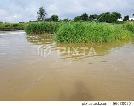 中風 中風 66688050