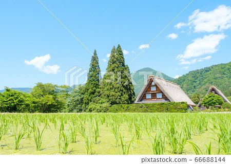 Early summer Shirakawa-go (daytime) Early summer Shirakawa-go (daytime) 66688144