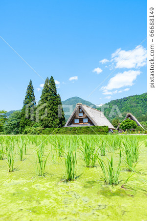初夏白川鄉(白天) 初夏白川鄉(白天) 66688149