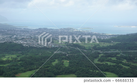 夏威夷大川 66688333