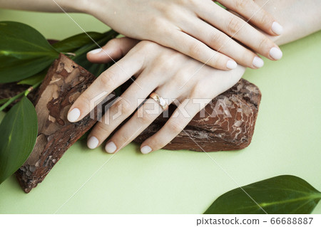pretty perfect woman hands with white manicure and green leaf on colorful background with wood, spa cosmetic concept 66688887