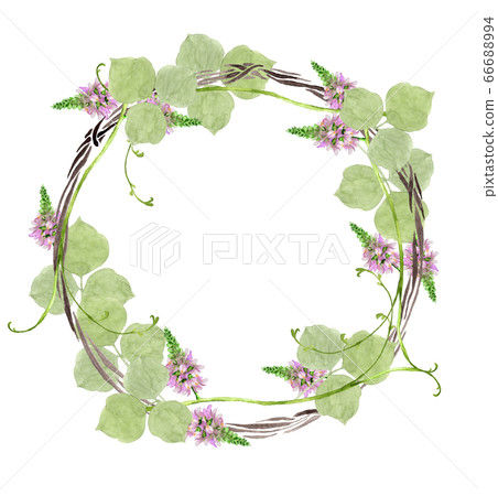 桂花花環 桂花花環 66688994