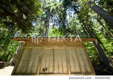 Sugi Mikami Tree, Gyoko Shrine, Misato Town, Akita Prefecture 66689480