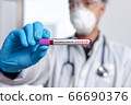 The doctor holds a test tube containing a blood sample 66690376