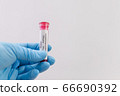 Hand holds a test tube containing a blood sample that has no the result positive or negative for coronavirus. 66690392