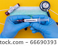 Hand holds a test tube containing a blood sample that has no the result positive or negative for coronavirus. 66690393