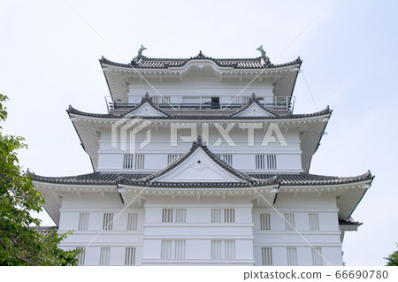 神奈川縣小田原城的城堡塔 神奈川縣小田原城的城堡塔 66690780