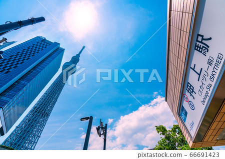 俯瞰押上站和東京晴空塔的日本東京城市景觀 66691423
