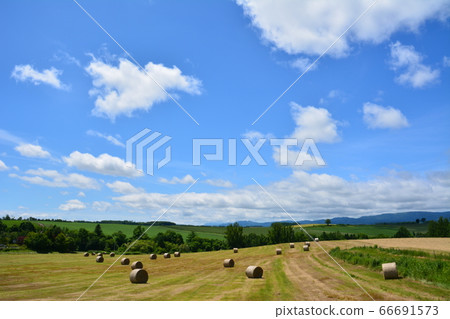 天空，雲彩和地草卷 66691573