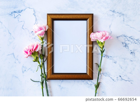 Carnation flower on blank picture frame on marble Carnation flower on blank picture frame on marble 66692654