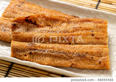 Grilled eel (domestic). The image of the day of the ox for summer and earth with background blinds. Grilled eel (domestic). The image of the day of the ox for summer and earth with background blinds. 66693488