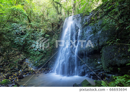 New Zealand waterfall New Zealand waterfall 66693694