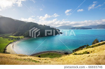 New Zealand coast 66693746