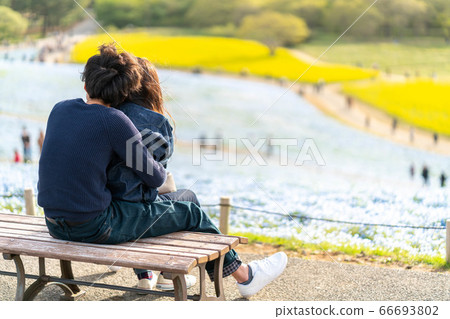 日立海濱公園Nemophila藍色世界 66693802
