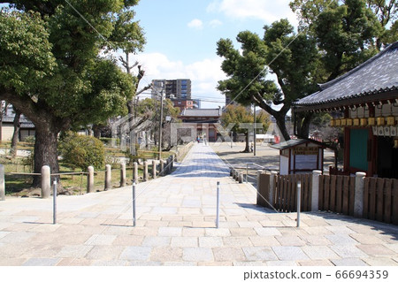 大阪四天王寺 大阪四天王寺 66694359