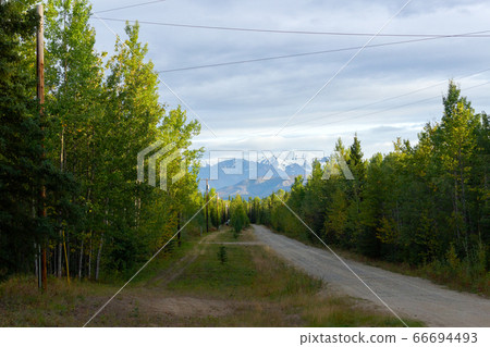 Alaska, Forest Gravel Road 66694493